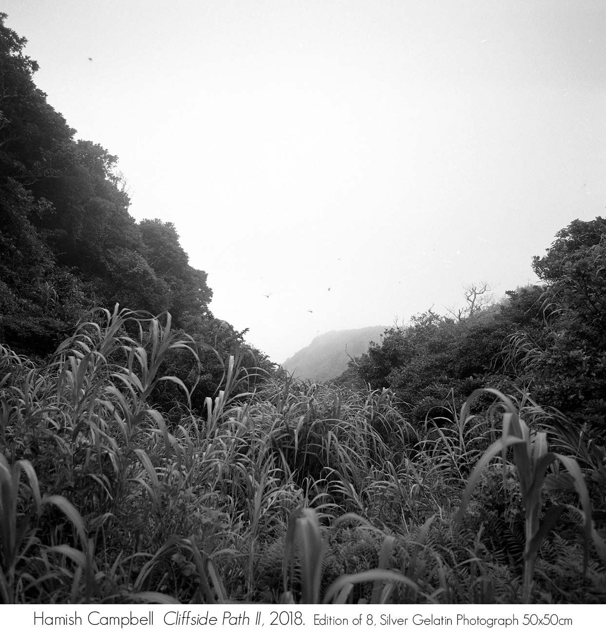 Hamish Campbell: Aogashima - life among the twin calderas. Head On Photo Festival 2018 Exhibition. Artsite Contemporary Galleries, Sydney 05 - 27 May 2018.