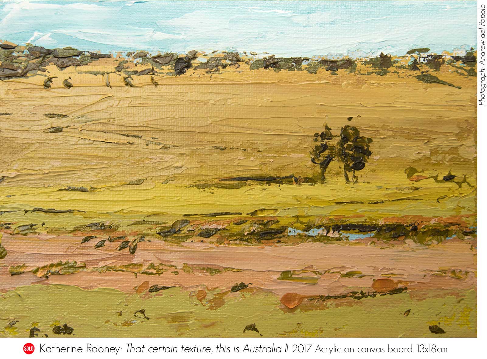 Land Between Water: Group Exhibition with Katherine Rooney. Artsite Contemporary Galleries, Sydney 30 September - 22 October 2017 