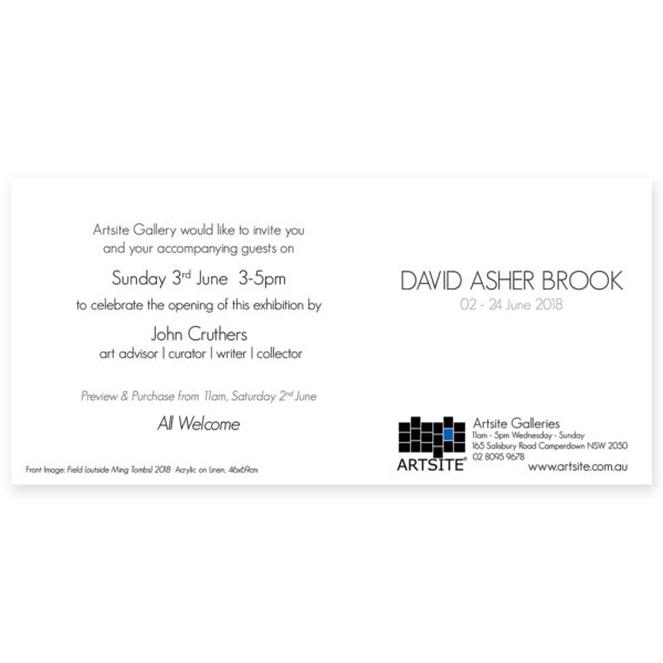 A2018 Solo Exhibition. David Asher Brook 02 - 24 June 2018