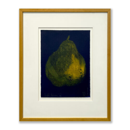 Madeleine Tuckfield-Carrano: Night Pairing #2(Series 02) Original unique print works available | Artsite Contemporary, Sydney | Shop Now In Gallery & Online