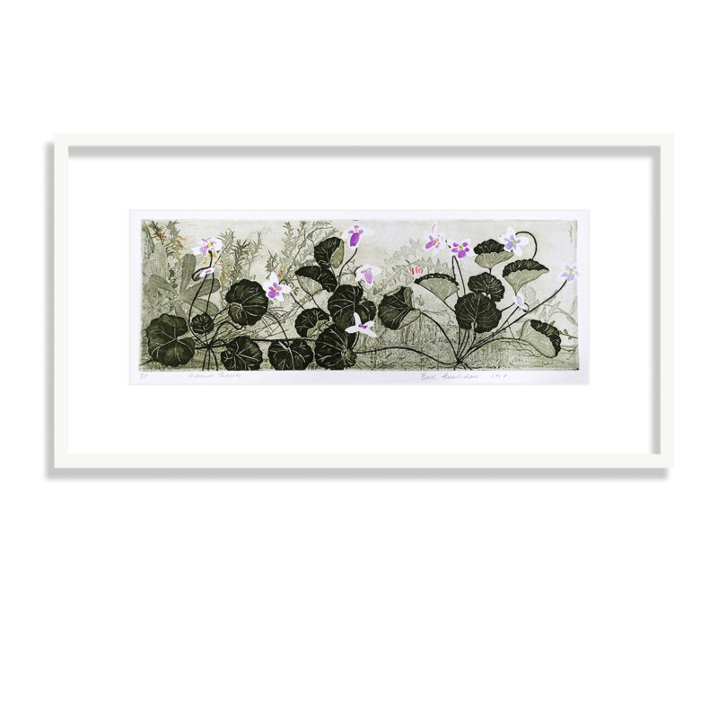 SOLD: Edith Cowlishaw - Native Violets 7/15 (Framed)