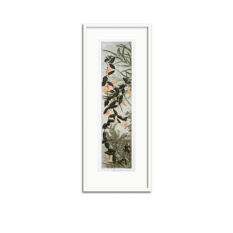 SOLD: Edith Cowlishaw - Correa 11/15, 2017 (Framed) | Limited edition, Hand coloured Etchings available Artsite Contemporary, Sydney | Browse | Acquire | Collect