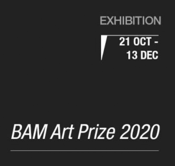 Christine Druitt-Preston | Semi-Finalist | BAM Art Prize 2020 | Artsite  Contemporary