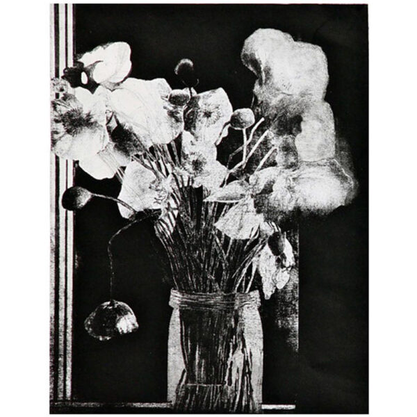 Graham Marchant | Etchings available | Shop Artsite Online | Artsite  Contemporary