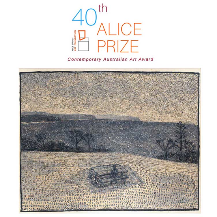 David Asher Brook | Finalist | 40th Alice Prize | Contemporary Australian Art Award