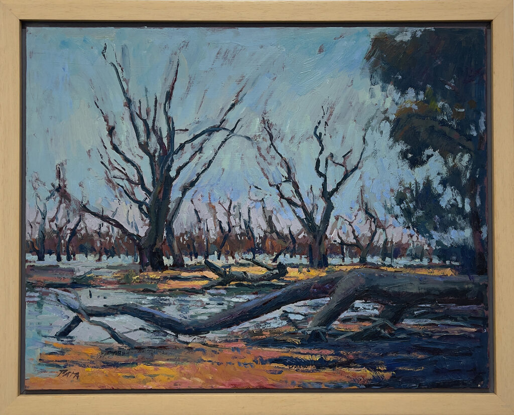 Daniel Pata: Menindee Lakes (Kinchega National Park), NSW, 2019 Oil painting en plein aire. Artsite Contemporary