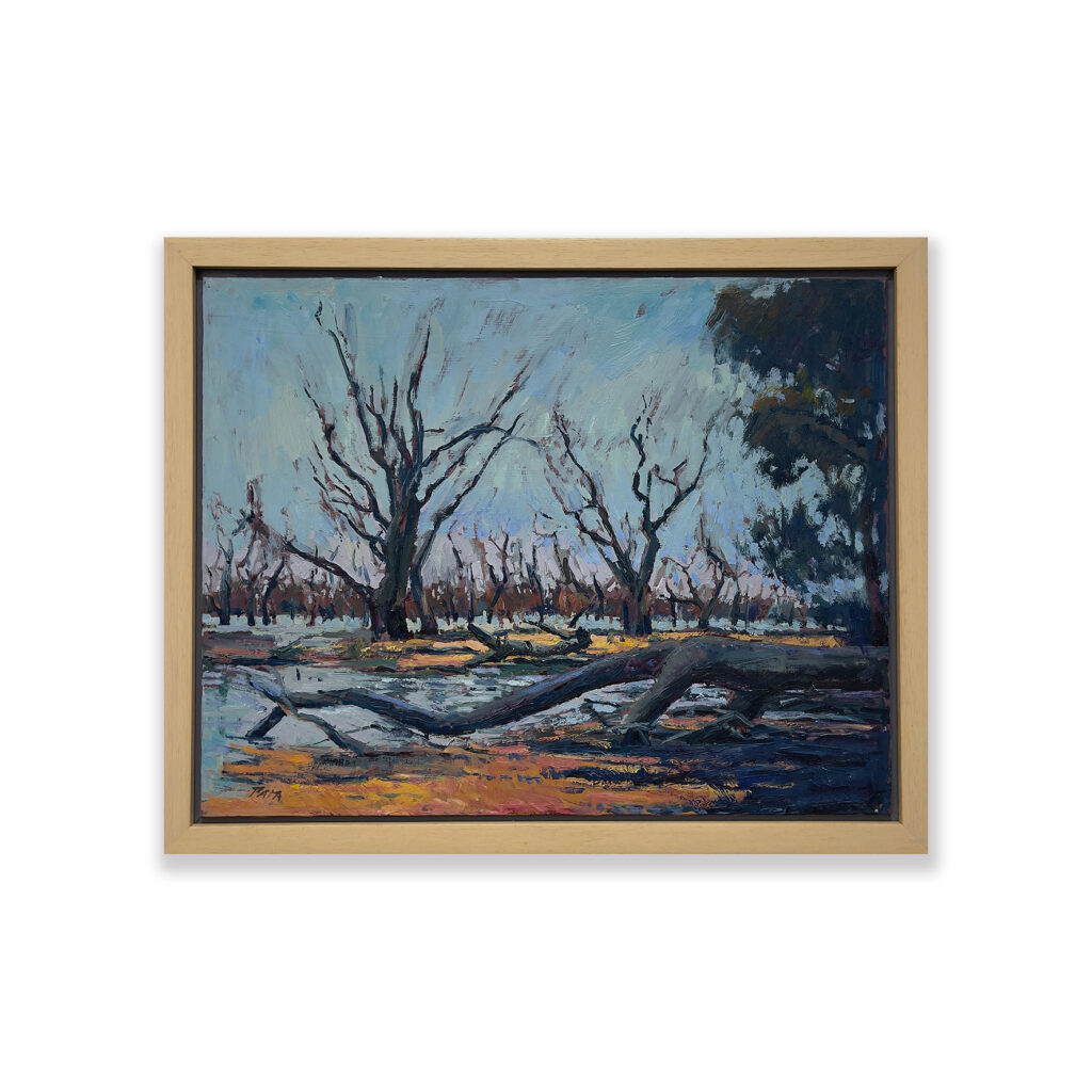 Daniel Pata: Menindee Lakes (Kinchega National Park), NSW, 2019 Oil painting en plein aire. Artsite Contemporary