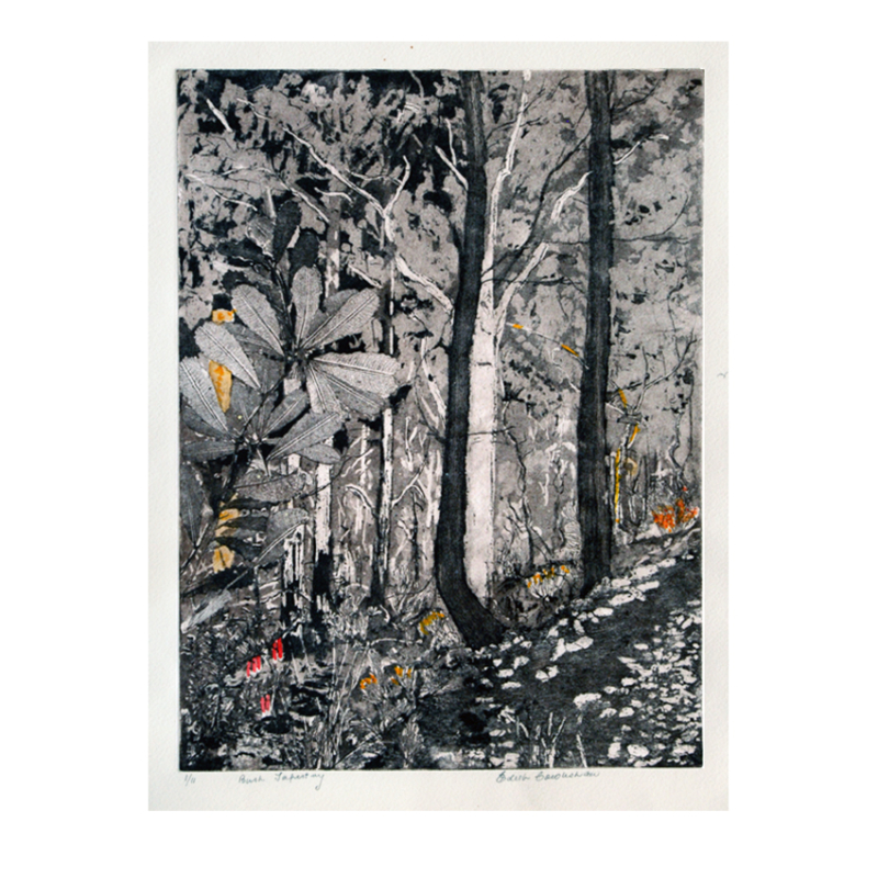 SOLD: Edith Cowlishaw - Bush Tapestry 1/11 (Framed)