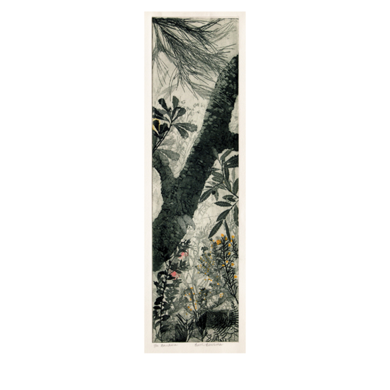 SOLD: Edith Cowlishaw - Banksia 9/10 (Framed)