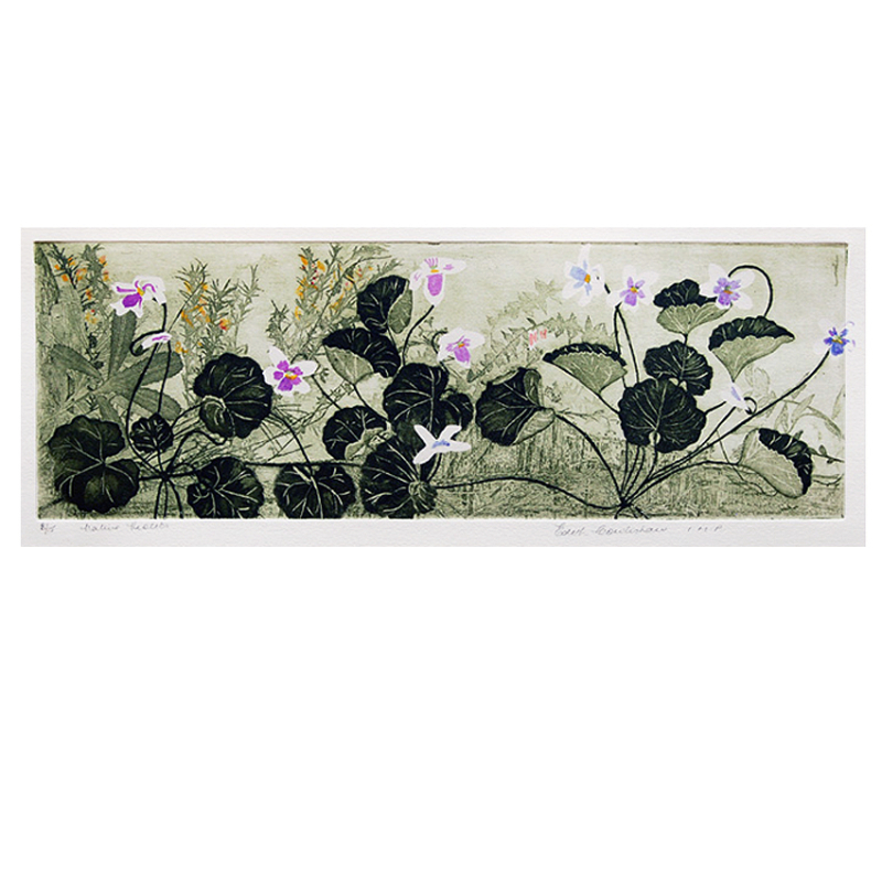 SOLD: Edith Cowlishaw - Native Violets 8/15 (Framed)