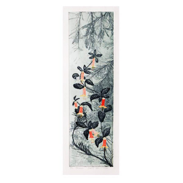 SOLD: Edith Cowlishaw - Correa 2/15 (Framed)
