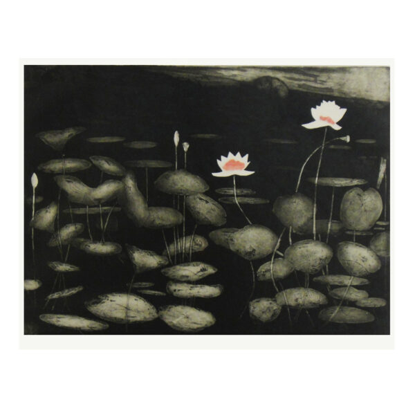 SOLD: Edith Cowlishaw - Lotus 3/10 (Framed)