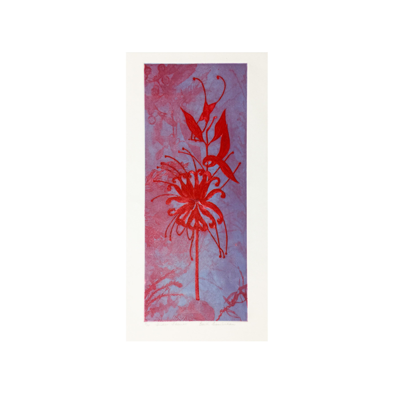 SOLD: Edith Cowlishaw - Spider flower 2/4, 2018 UF