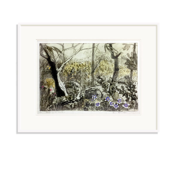 SOLD: Edith Cowlishaw: Violets by the Stream. 2/10. Original etching with hand coloured watercolour. Limited Edition. Available Artsite Contemporary - your local Sydney Contemporary Art Gallery for emerging & established Australian artists.