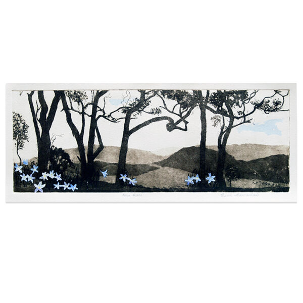 Sold: Edith Cowlishaw - Blue bells 3/3, 2018 Etching/watercolour, Ed: of 3. Image: 19x49cm, UF