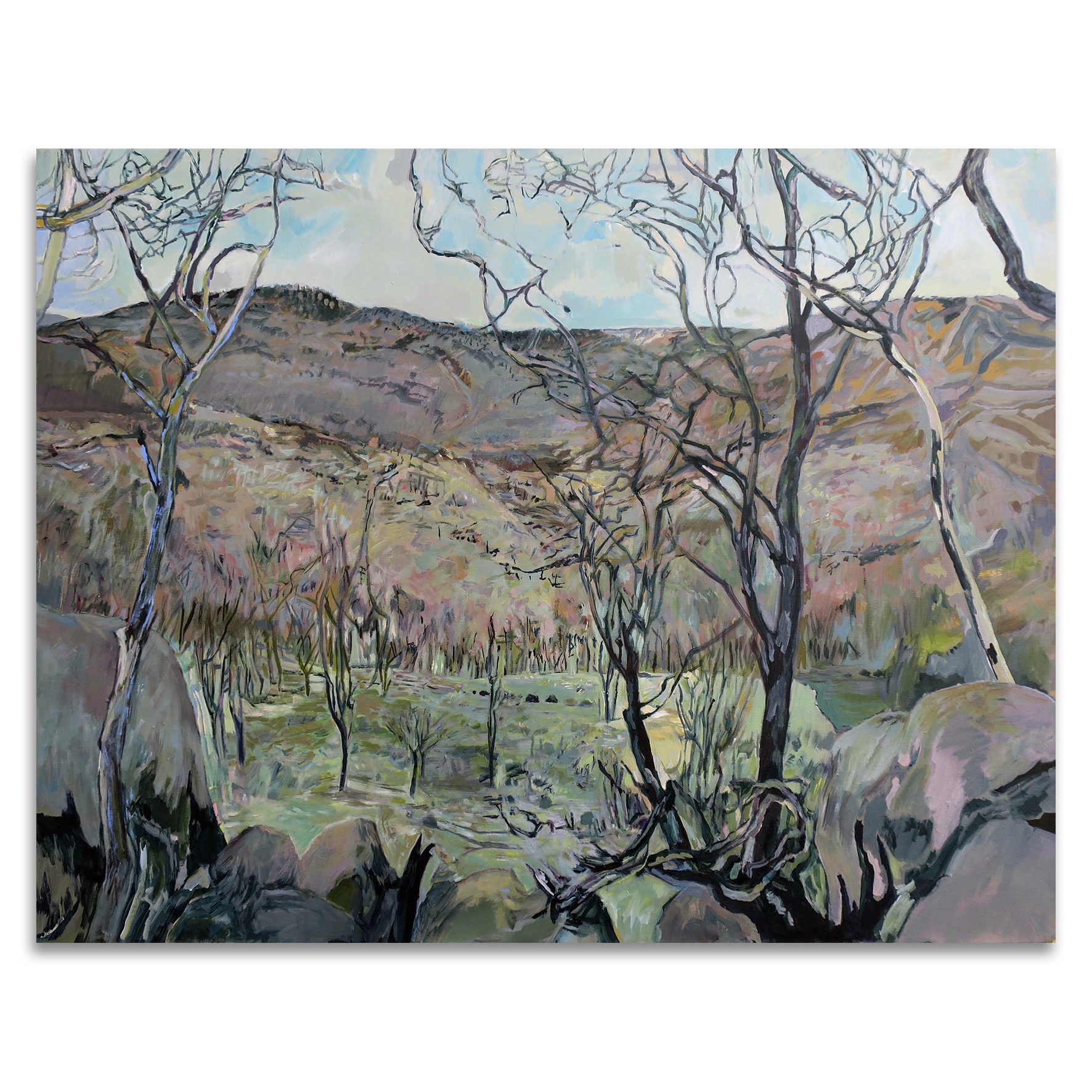 Kerry Johns: 'Land Enduring, Namadji. Finalist 2022 Goulburn Art Award, Artsite Contemporary, Australia.