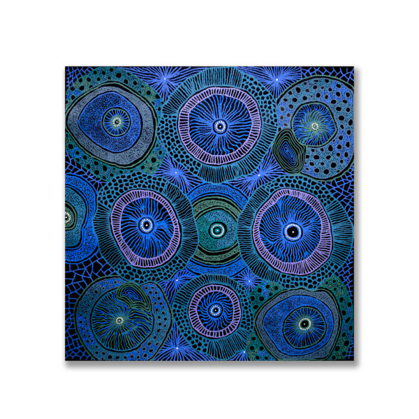 Kathryn Queama Kungkarangkalpa ~ The Seven Sisters (X2008-19), 2019 Approximate image size: 89x89cm, Acrylic on Canvas