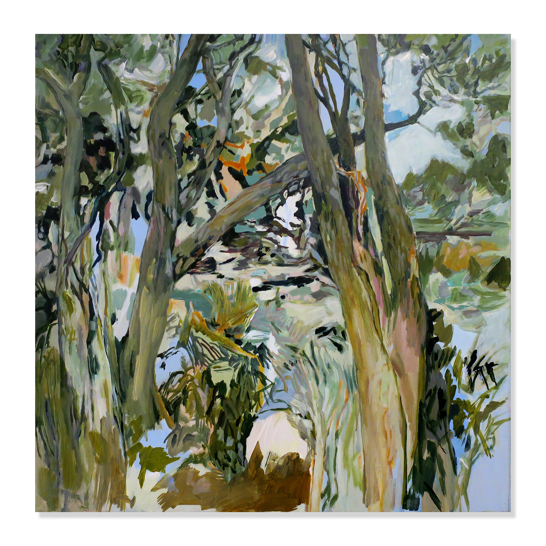 Kerry Johns: SEACOAST, Solo Exhibition 07 - 29 October 2023. Gallery .1 Artsite Contemporary Galleries, Australia.SOLD: Kerry Johns - Forest Edge, 2023. Acrylic on canvas. Image Size: 61 x 61cm. Purchased for the collection of Brisbane Girls Grammar School, Qld.