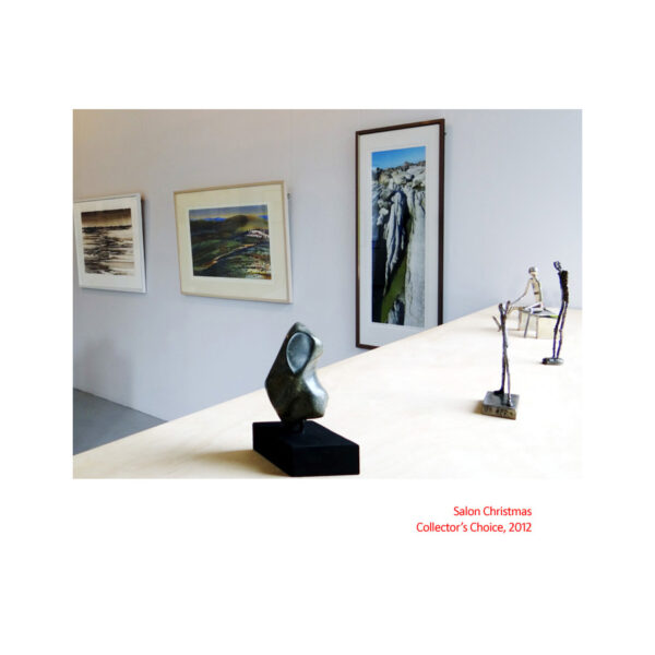 Collectors' Choice 2012, 24 November - 09 December 2012 | Artsite Contemporary Exhibition Archive.