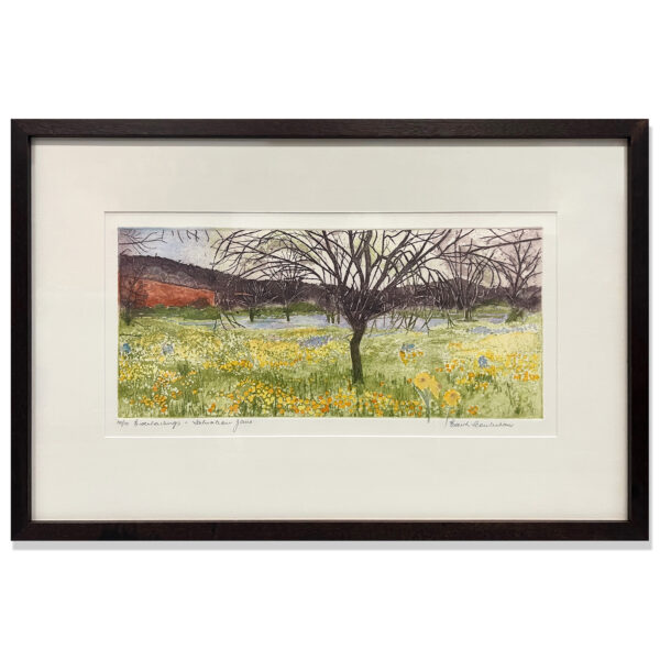 Edith Cowlishaw: Everlastings & Salvation Jane 10/10 Etching/watercolour, Ed: 10. Image: 19x45cm, Framed: 43x67x3cm