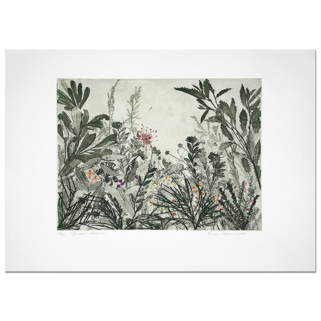 Edith Cowlishaw: Spider flower, 3/4, 2018 Etching/watercolour, Ed: 4. Image: 32x49cm, Unframed