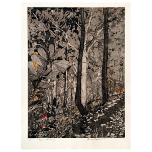 Edith Cowlishaw: Bush Tapestry, 8/11 Etching/hand watercolour, Edition of 11. Image: 40x30cm. UF.