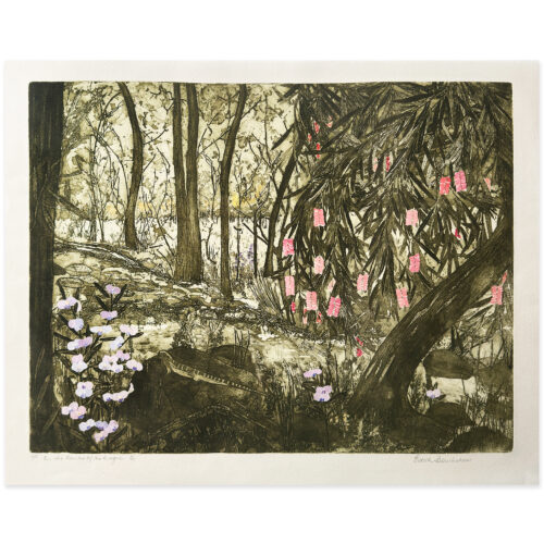 Edith Cowlishaw: On the Banks of the River Boyne, 6/11, Etching/hand watercolour, Edition of 11. Image Size: 46x60cm. UF