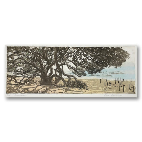 Edith Cowlishaw: Mangrove 4/10 Etching/watercolour, Ed: 10. Image: 18x50cm. UF