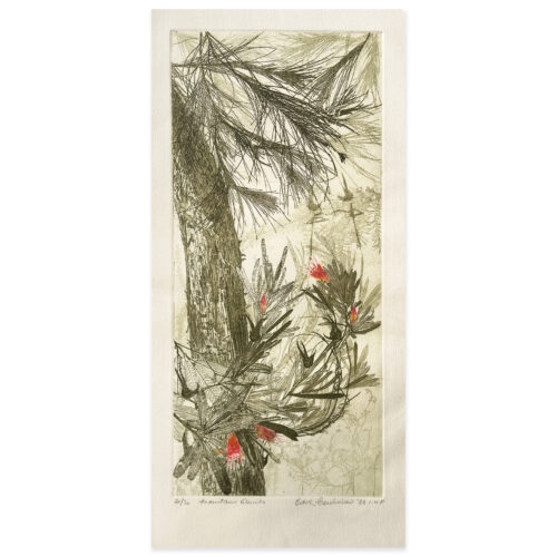 Edith Cowlishaw: Mountain Devils, 21/30, 1988, Etching/hand watercolour, Edition of 30. Image Size: 51x24cm. UF.Rare Early print from Artists' personal collection.