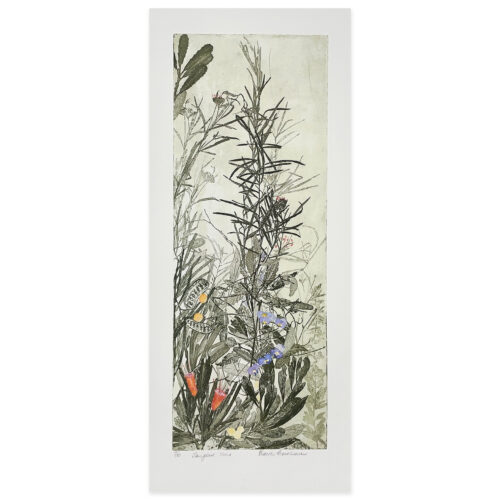Edith Cowlishaw: Tangled Vine, 6/10 Etching/watercolour, Ed: 10. Image: 50x19cm. UF