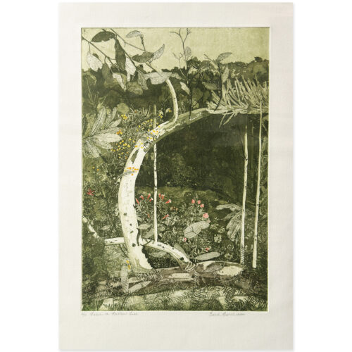 Edith Cowlishaw: From a Fallen Tree, 2/10. Etching/hand watercolour, Edition of 10. Image Size: 50x34cm. UF