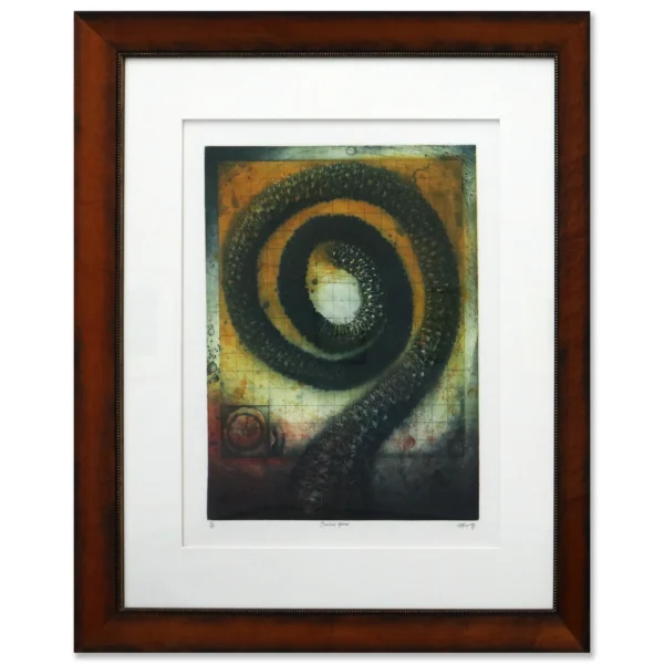 Michael Kempson: Banksia spiral, 78/80, 1998 Multi-plate etching. Printed by the Artist. Image size:62x49cm. Framed size: 108x94cm. ©The Artist all rights reserved.