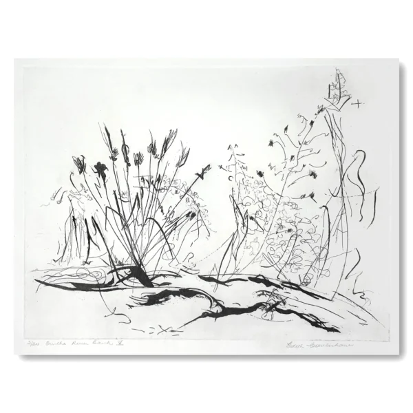 Sold ~ Edith Cowlishaw: On the Riverbank X 2/20 Etching, Ed: 20. Image: 27x37cm. UF