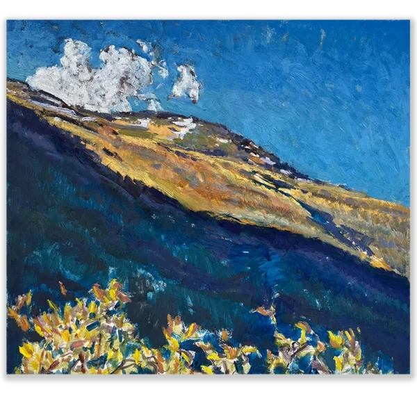 Daniel Pata: Remnant snow on the Thredbo slopes, 2025 Oil on acid free board. Image: 36x38cm. Framed size: 49x50cm