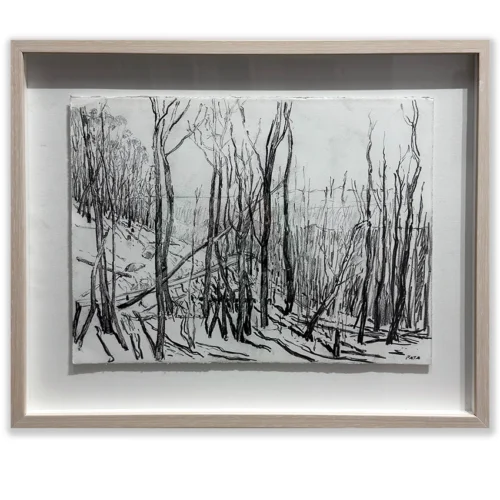 Daniel Pata: Siberia on the Alpine Way, 2024 Charcoal pencil on paper. Image: 30x40cm. Framed: 42x52cm