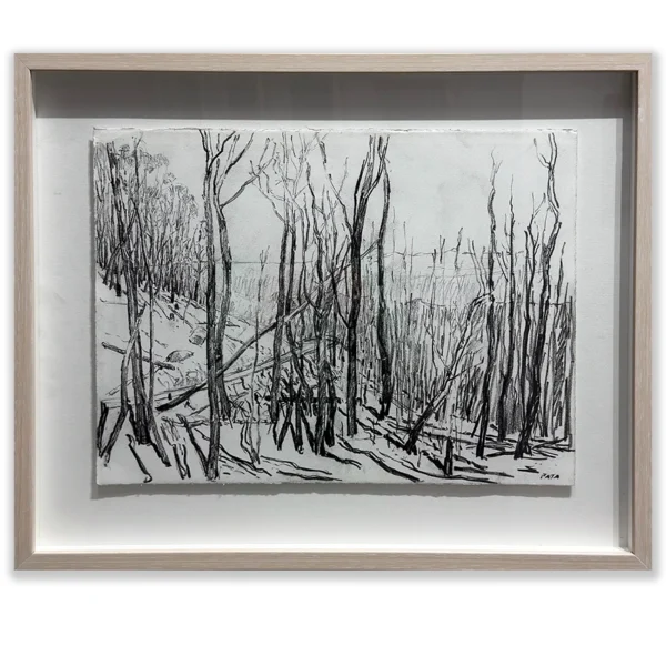 Daniel Pata: Siberia on the Alpine Way, 2024 Charcoal pencil on paper. Image: 30x40cm. Framed: 42x52cm