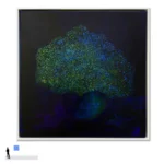 Madeleine Tuckfield-Carrano<br /><span><em>The moon is a harsh Mistress, 2024</em></span> - Image 3