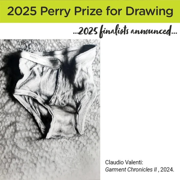 Finalists announced: Adelaide Perry Prize for Drawing 2025 - Claudio Valenti: Garment Chronicles II, 2024. Pencil on paper.