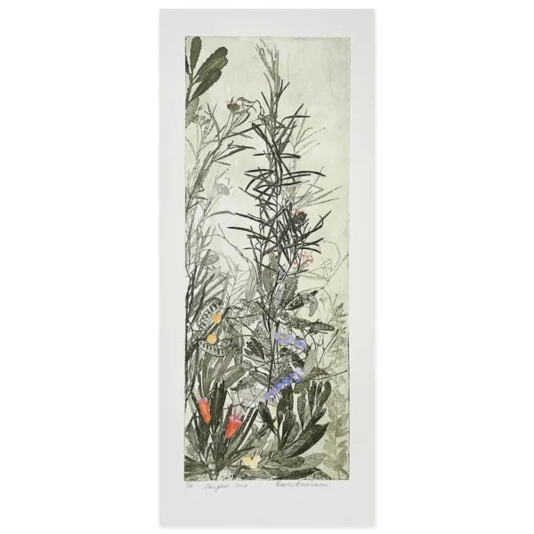 Sold ~ Edith Cowlishaw: Tangled Vine, 9/10 Etching/watercolour, Ed: 10. Image: 50x19cm. UF